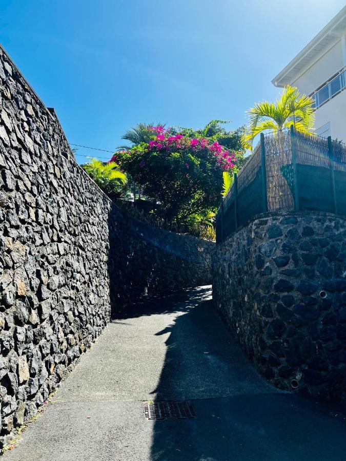 Appart. Avec Grande Terrasse Vue Ocean Apartment Saint-Gilles Les Bains Exterior photo